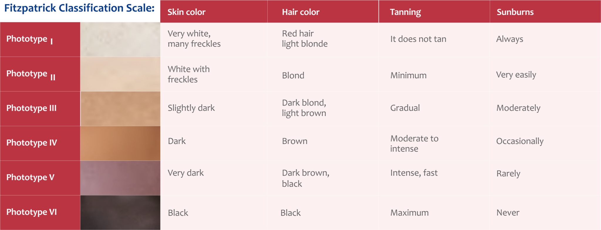 Understanding Skin – Leaderma